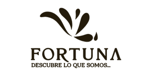 Fortuna Descubre